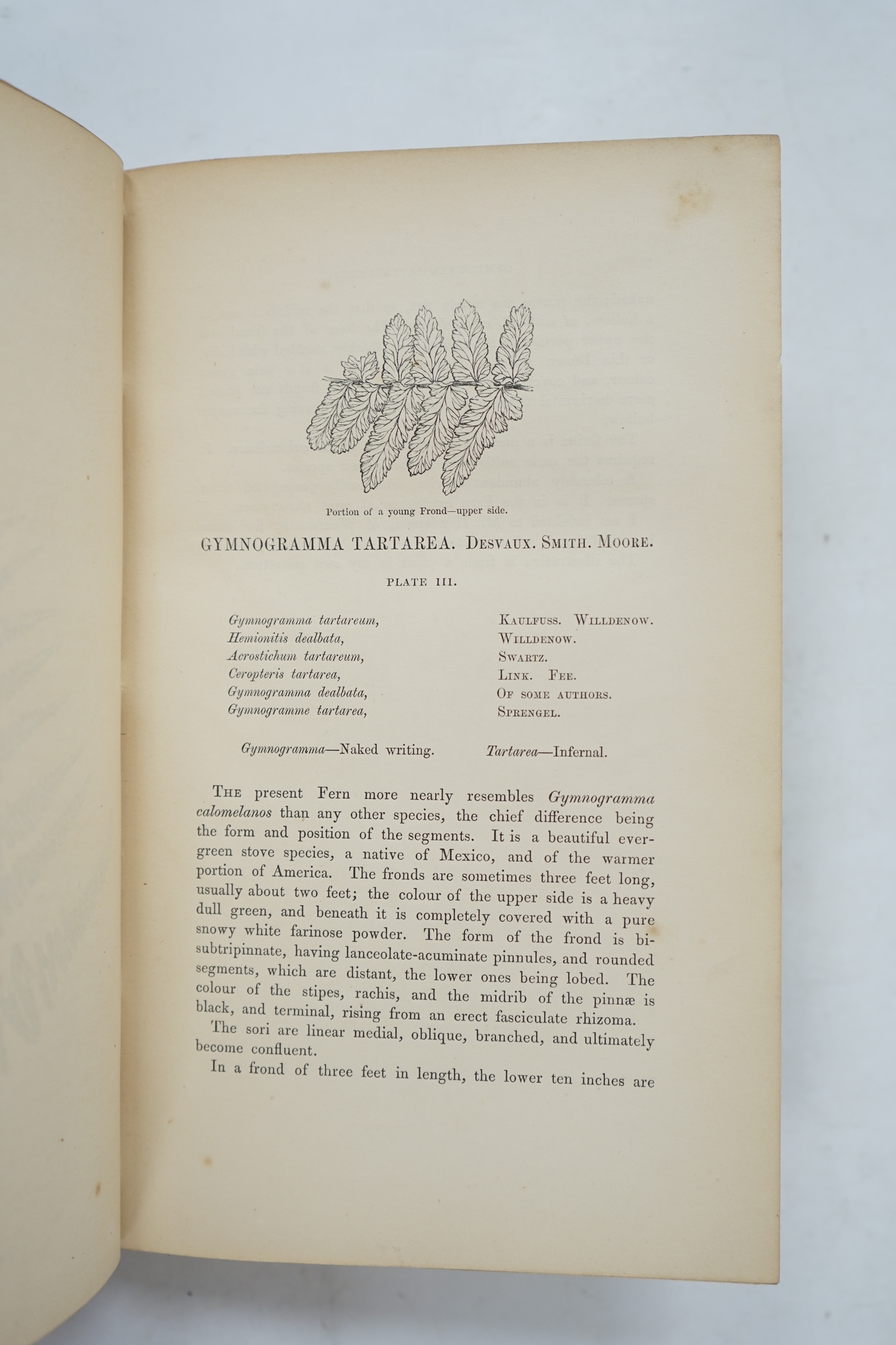 Lowe, Edward Joseph - Ferns: British and Exotic, 8 volumes, 1st edition, 8vo, half calf, scuffed and with some loss to the leather, 479 chromolithograph plates, Groombridge and Sons, London, 1856-60.